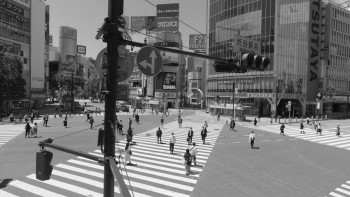 The 12 Day Tale of the Monster That Died in 8 (2020) download