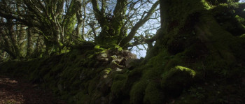 The Adventures of Maid Marian (2022) download