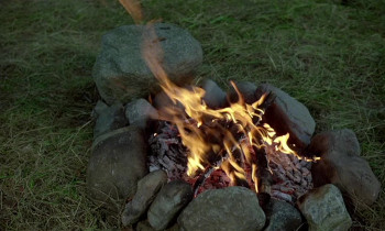 The Adventures of Picasso (1978) download