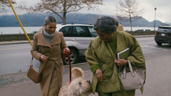 The Ainsley McGregor Mysteries: A Case for the Winemaker (2024) download