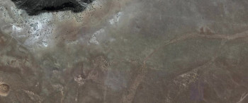 The Alien Perspective (2025) download