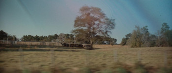 The Beast of Trinity Texas (2025) download