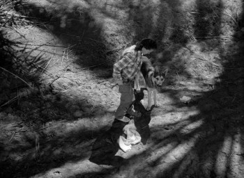 The Beast with a Million Eyes (1955) download