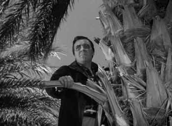 The Beast with a Million Eyes (1955) download