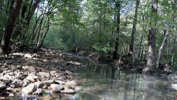 The Bigfoot Prophecy (2024) download