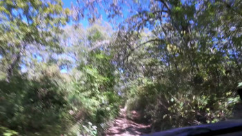 The Bigfoot Prophecy (2024) download