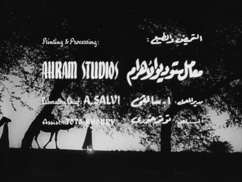 The Blazing Sun (1954) download