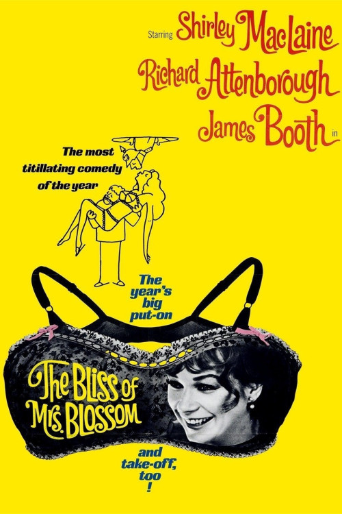 The Bliss of Mrs. Blossom (1968) download