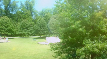 The Box in the Basement (2025) download