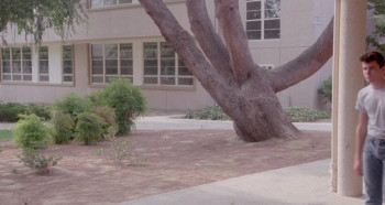 The Boys Next Door (1985) download