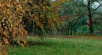 The Brain That Wouldn't Die (2020) download