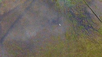 The Burial of Kojo (2018) download