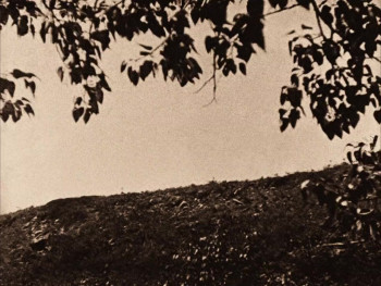 The Calgary Stampede (1925) download