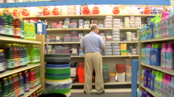 The Cellar Door (2007) download