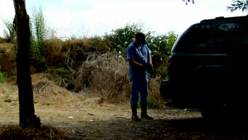 The Cellar Door (2007) download