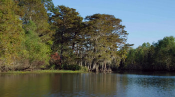 The Christmas Contract (2018) download