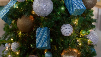 The Christmas House 2: Deck Those Halls (2021) download