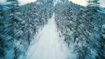 The Christmas Spark (2025) download