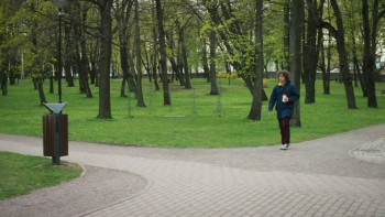 The Chuck Band Show (2019) download