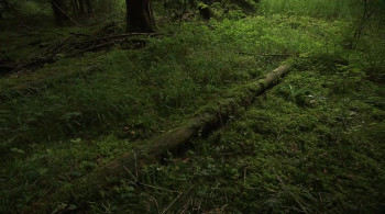 The Coolest Guy Movie Ever: Return to the Scene of The Great Escape (2018) download