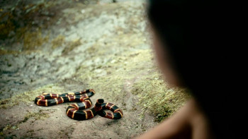 The Covenant (2023) download