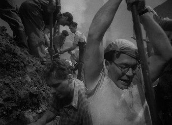 The Cranes Are Flying (1957) download