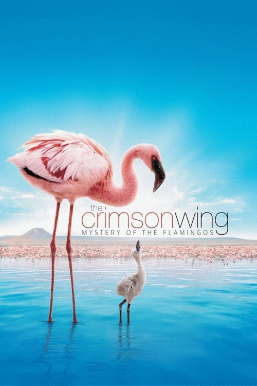 The Crimson Wing: Mystery of the Flamingos (2008) download