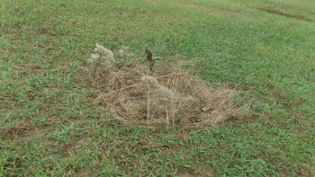 The Dark Power (1985) download