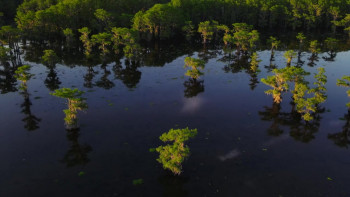 The Dark Sisters (2023) download