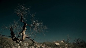 The Dead Girl (2006) download