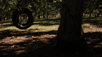 The Dead the Damned and the Darkness (2014) download