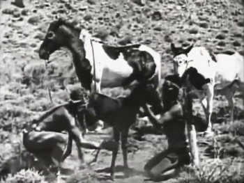 The Devil Horse (1926) download