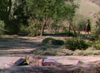 The Duel at Silver Creek (1952) download