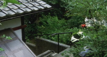 The Eel (1997) download