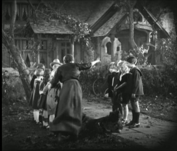The Enchanted Cottage (1924) download