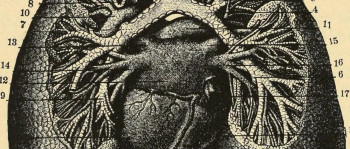 The End of Medicine (2022) download