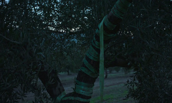 The Exiles (2024) download