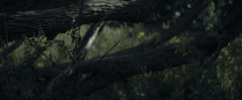 The Family (2021) download