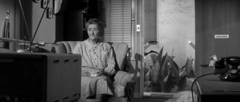 The Female Animal (1957) download