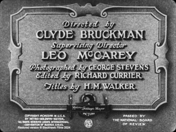 The Finishing Touch (1928) download