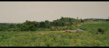 The Fire and the Moth (2025) download