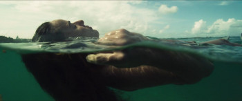 The Fishbowl (2023) download