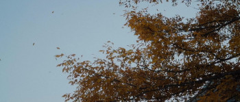 The Front Room (2024) download