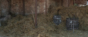 The Grand Duel (1972) download