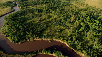 The Growing Up Pets in Films (2015) download