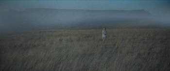 The Harvesters (2018) download