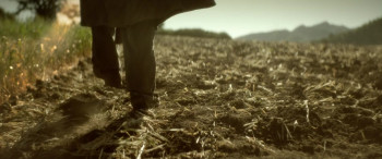 The Hatred (2017) download