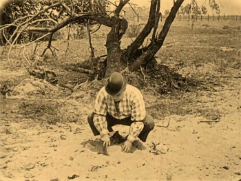 The Hayseed (1919) download