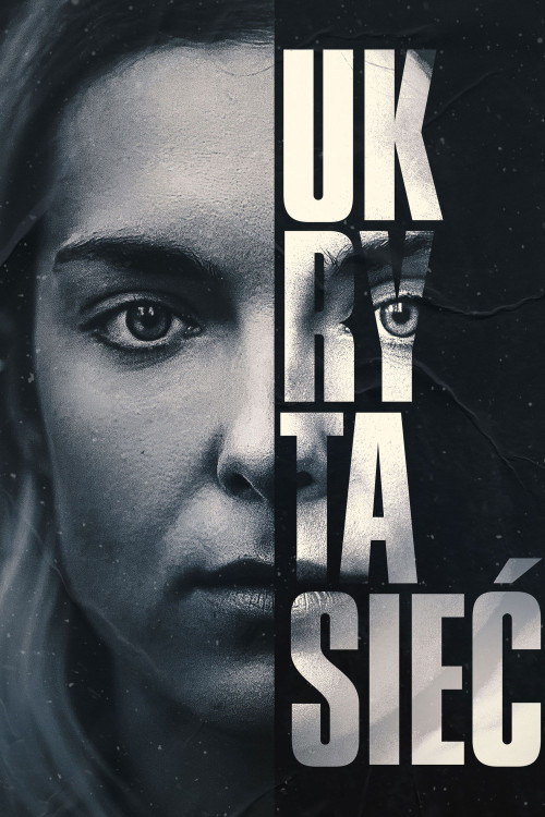 The Hidden Web (2023) download