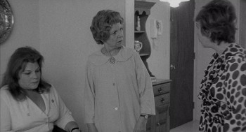 The Honeymoon Killers (1970) download